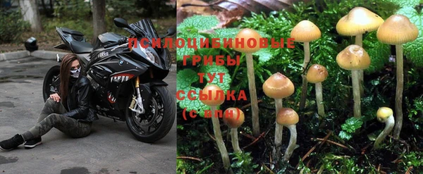 мдпв Волоколамск
