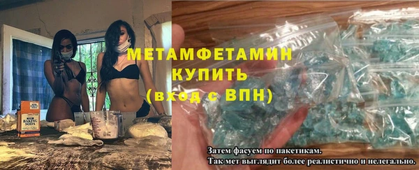 гидра Каменногорск