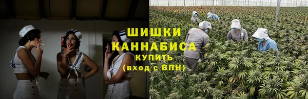 гидра Каменногорск